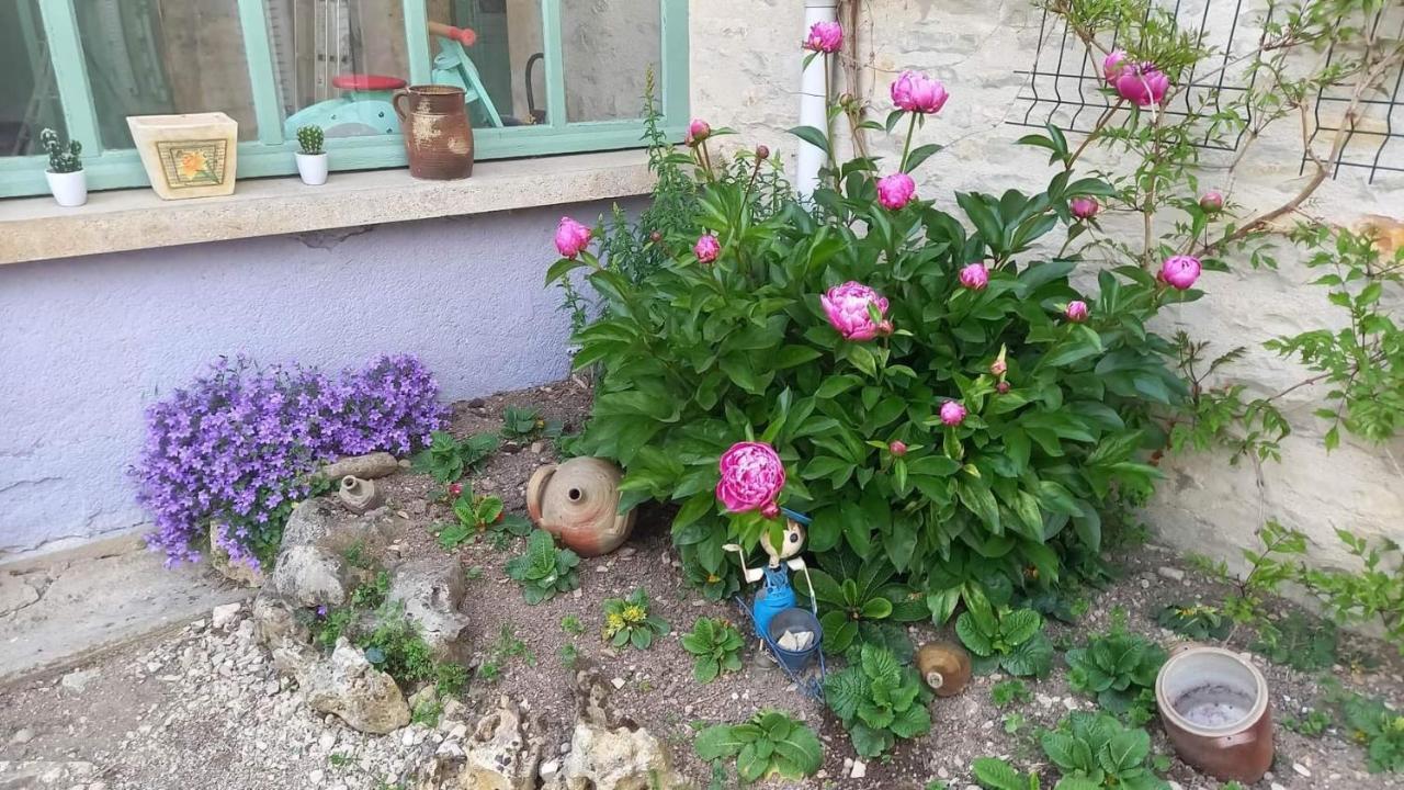 Le Clos Du Merry Joux-la-Ville Εξωτερικό φωτογραφία